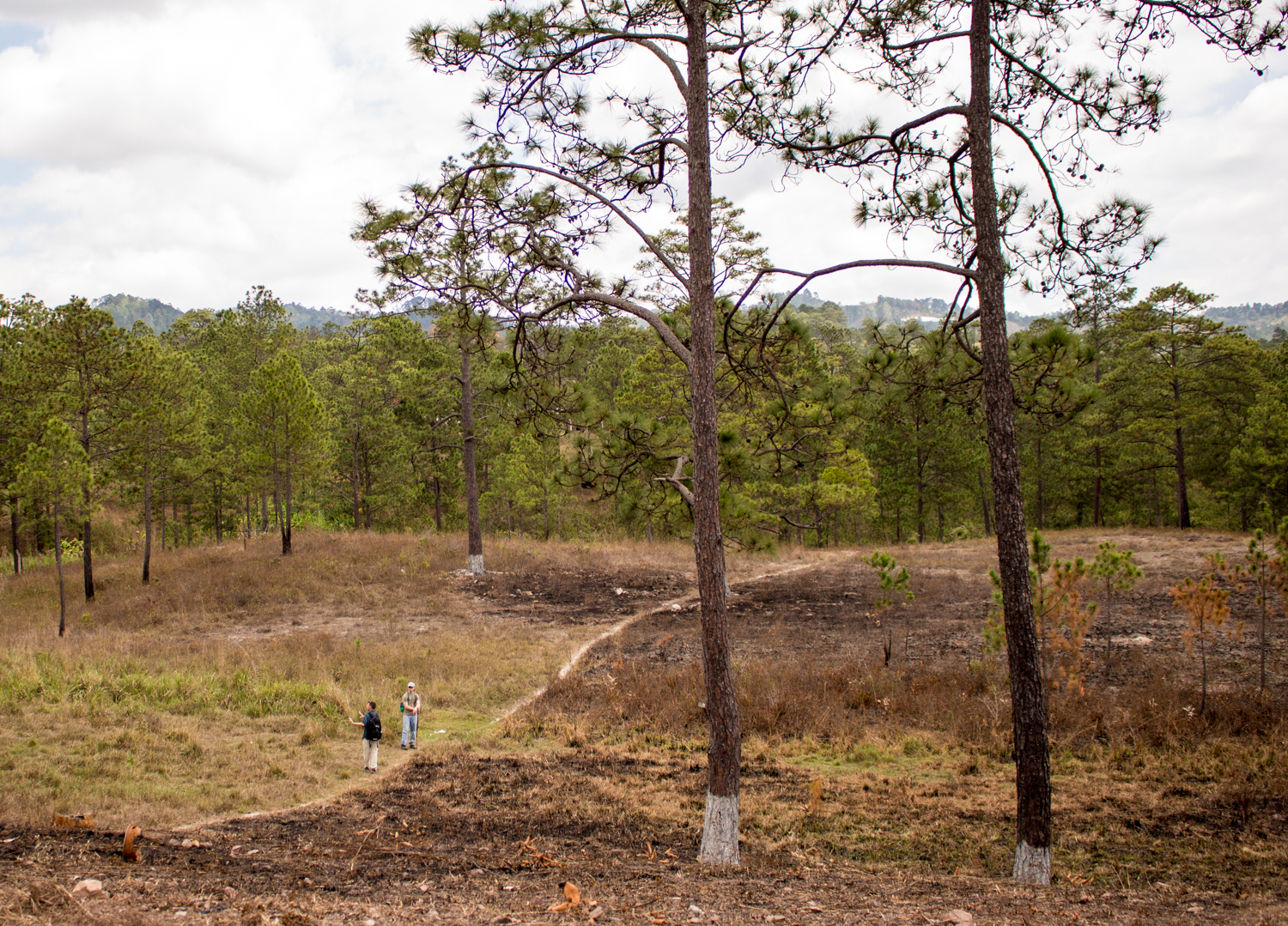 The Project Site!