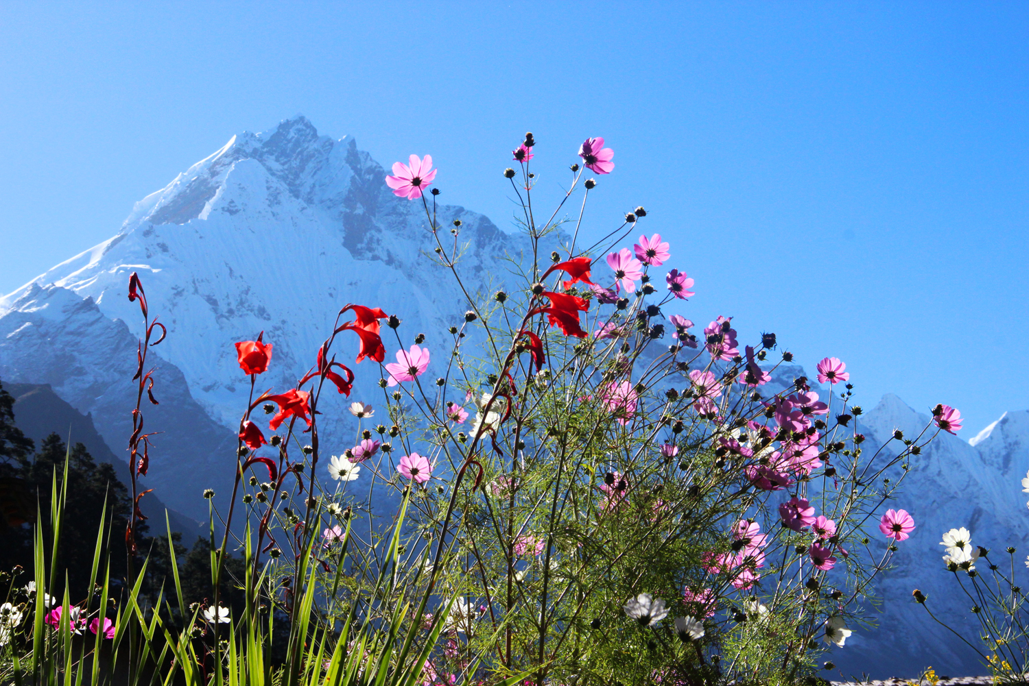 Nepal.Tsum.Dawa.jpg