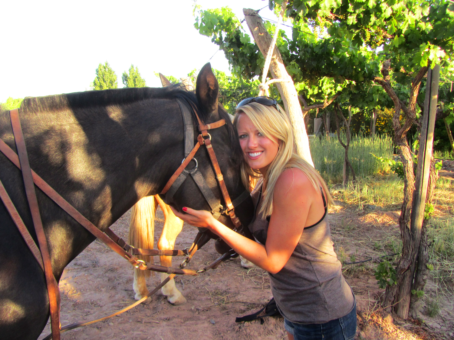Argentina.Mendoza.Horse.Aimee.AA.jpg