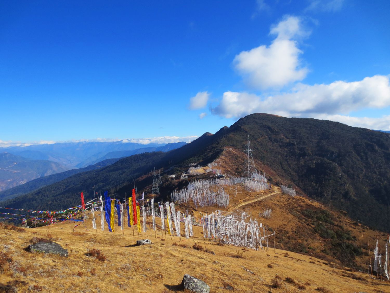 Bhutan.CheleLa.PrayerFlags.MG.jpg