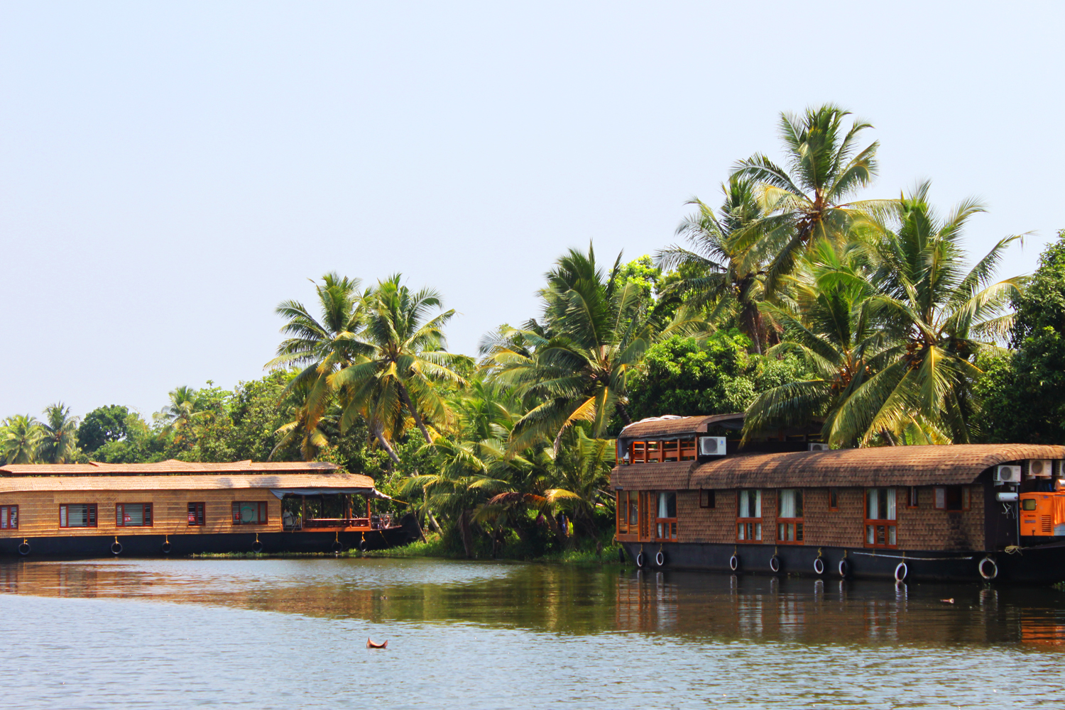 <strong> South India</strong><p>Houseboats, Backwaters & History  »</p>