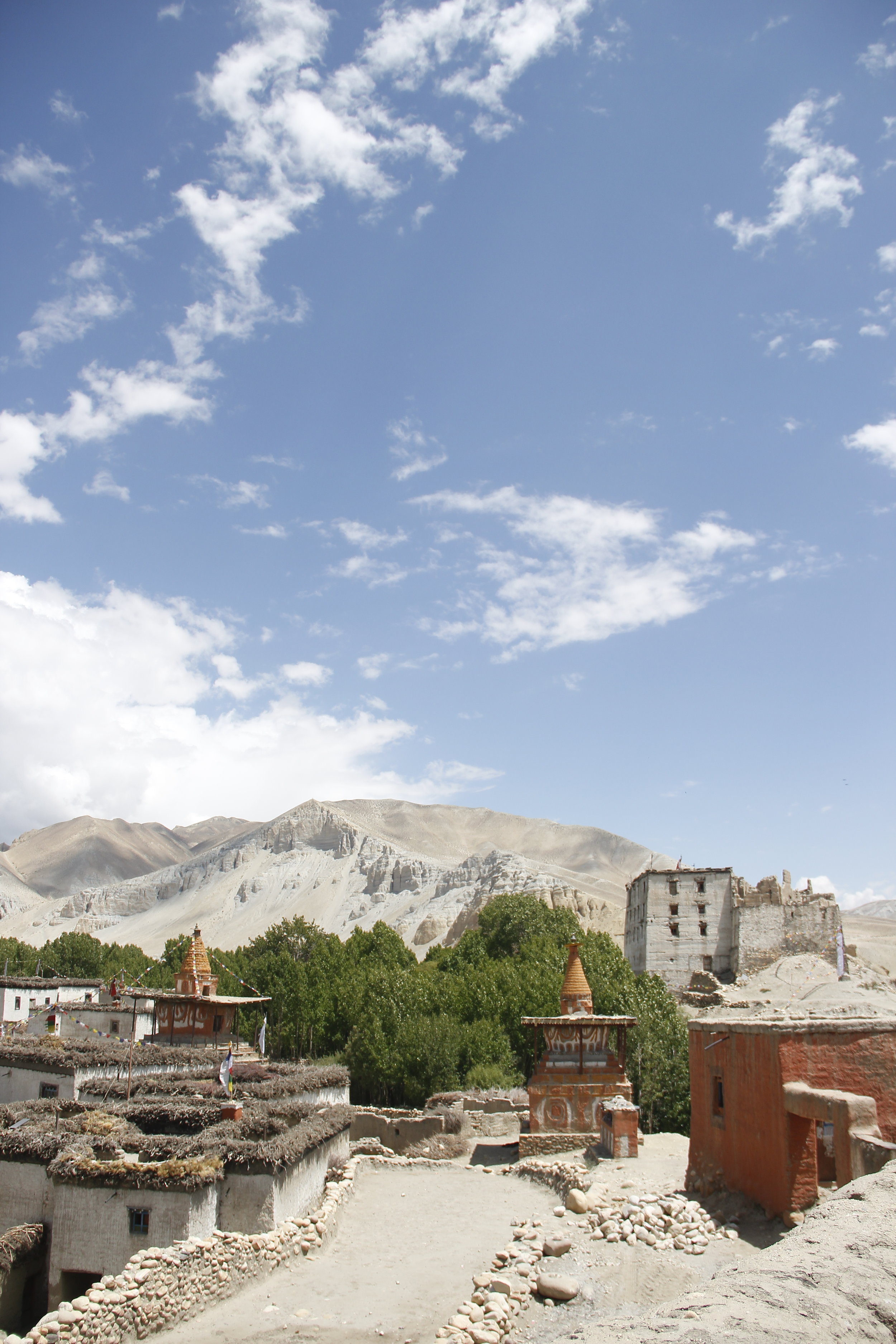 <strong>Studying Abroad in the Himalayas</strong><p>The University of Vermont</p>