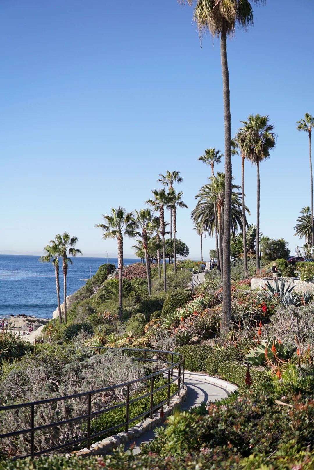 Laguna Beach, My Fave