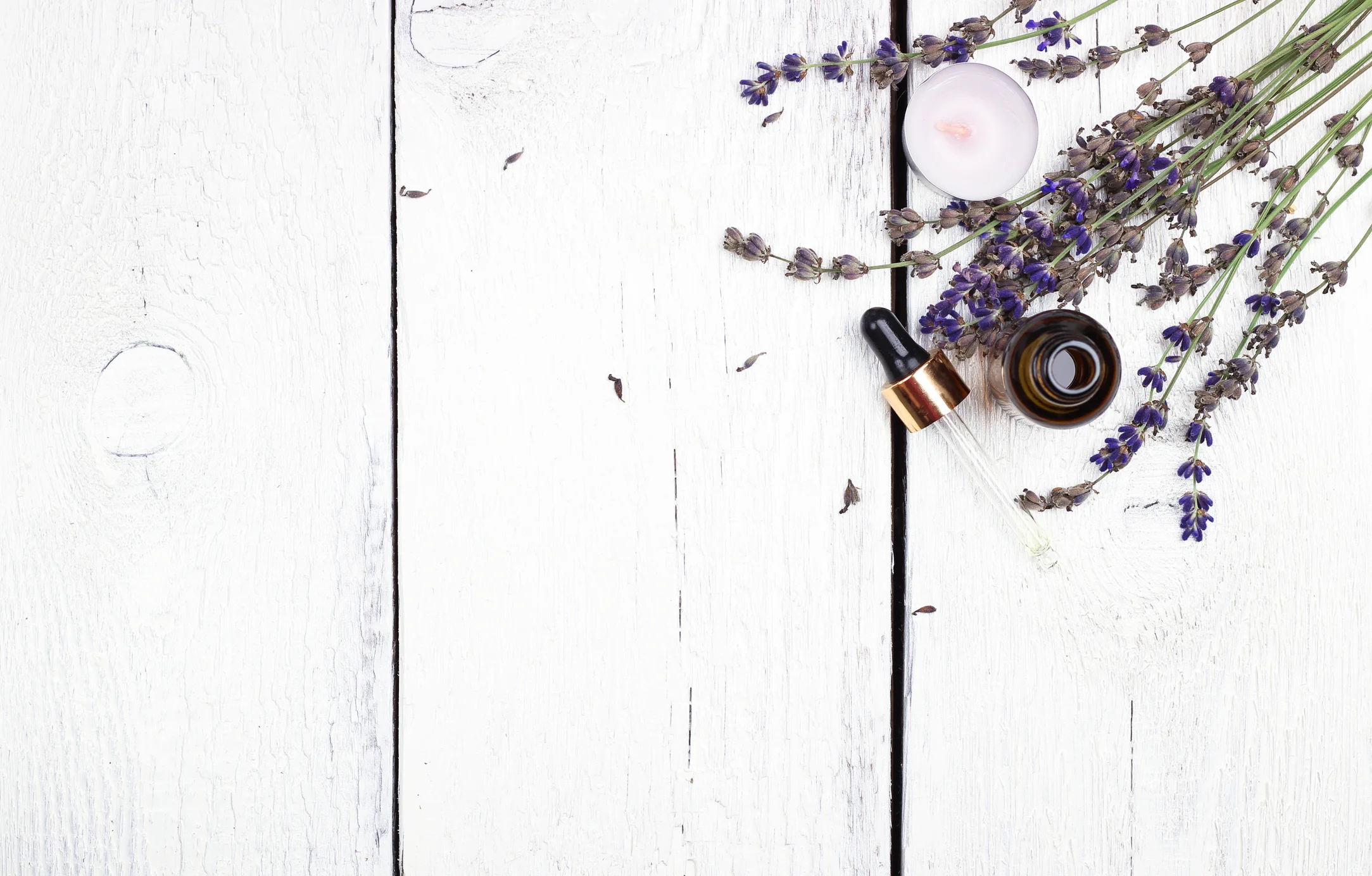 Lavender Essential Oil: Oasis