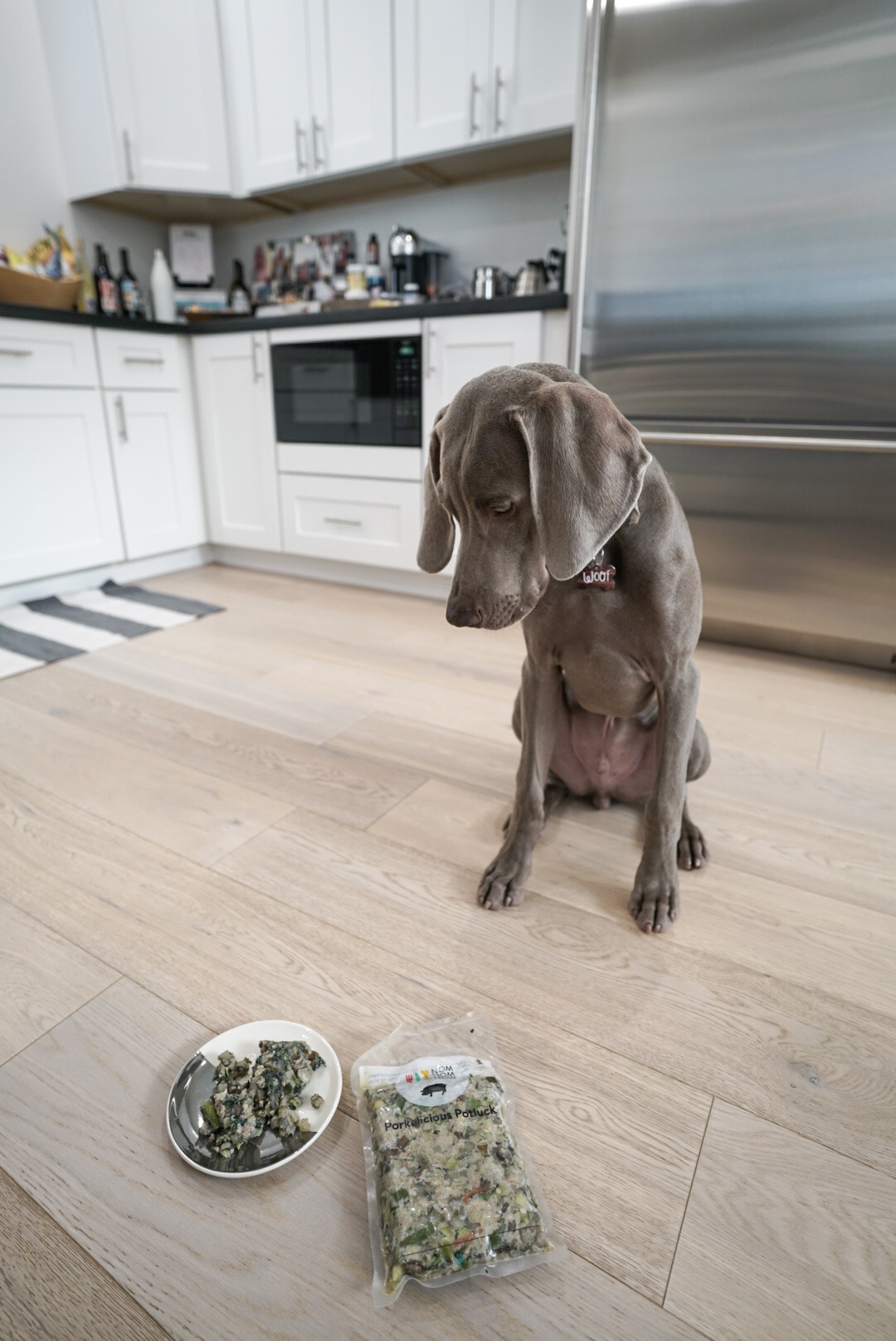 My well-trained pup was so good posing for me! He wanted his Porkalicious Potluck so badly. 