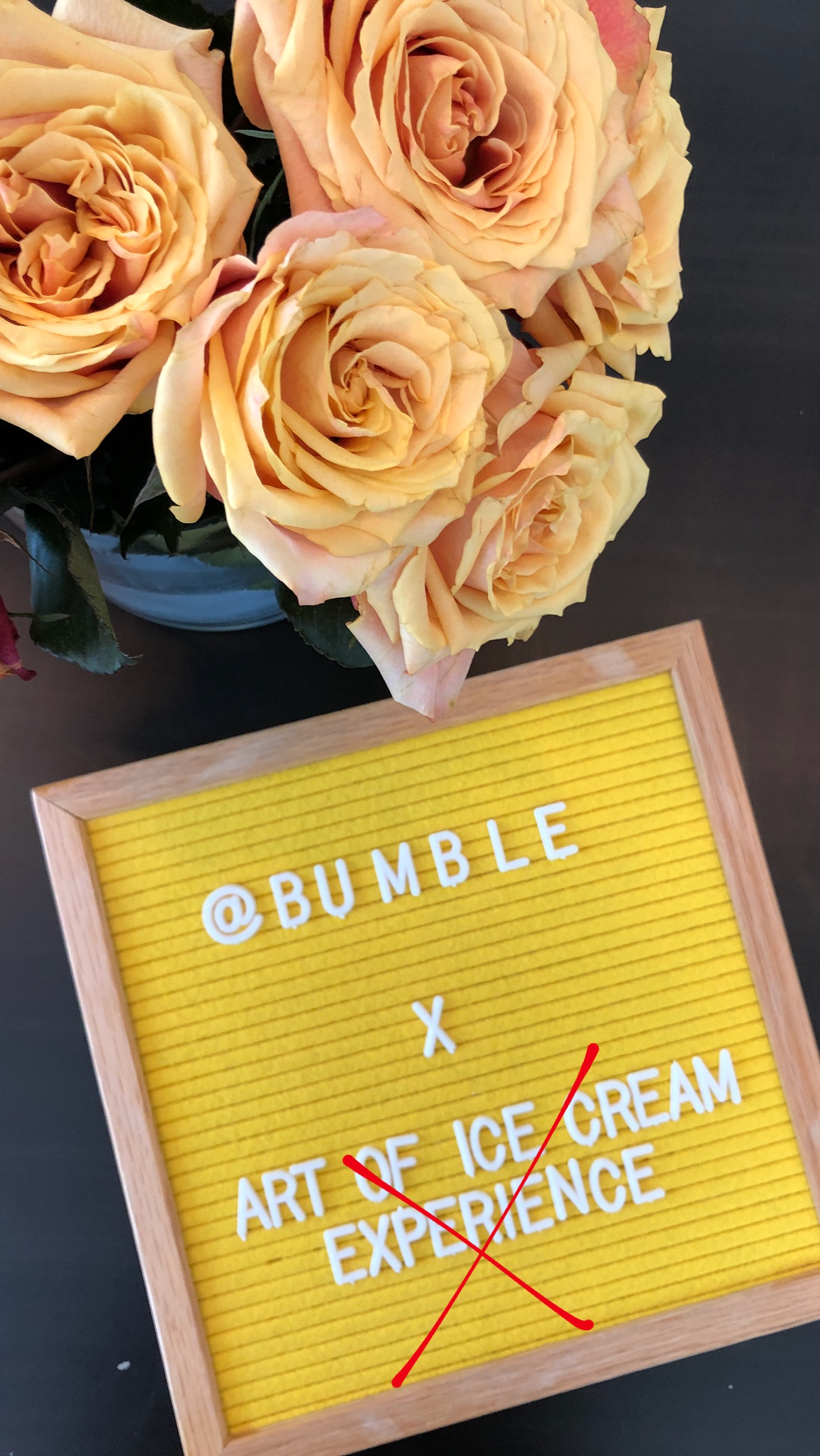 Bumble X Art Of Ice Cream - Cancelled