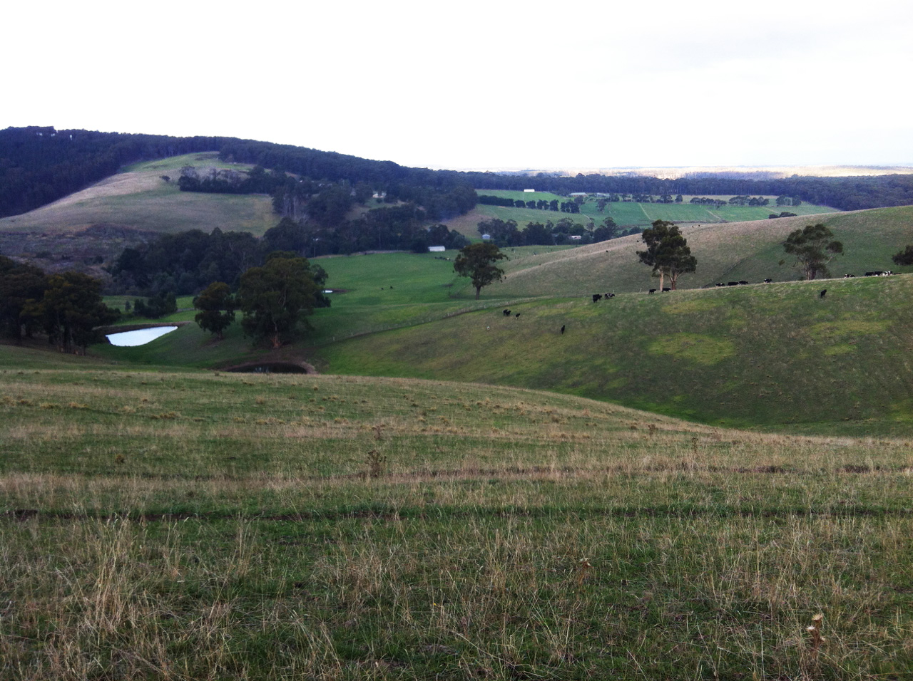 Gippsland's land