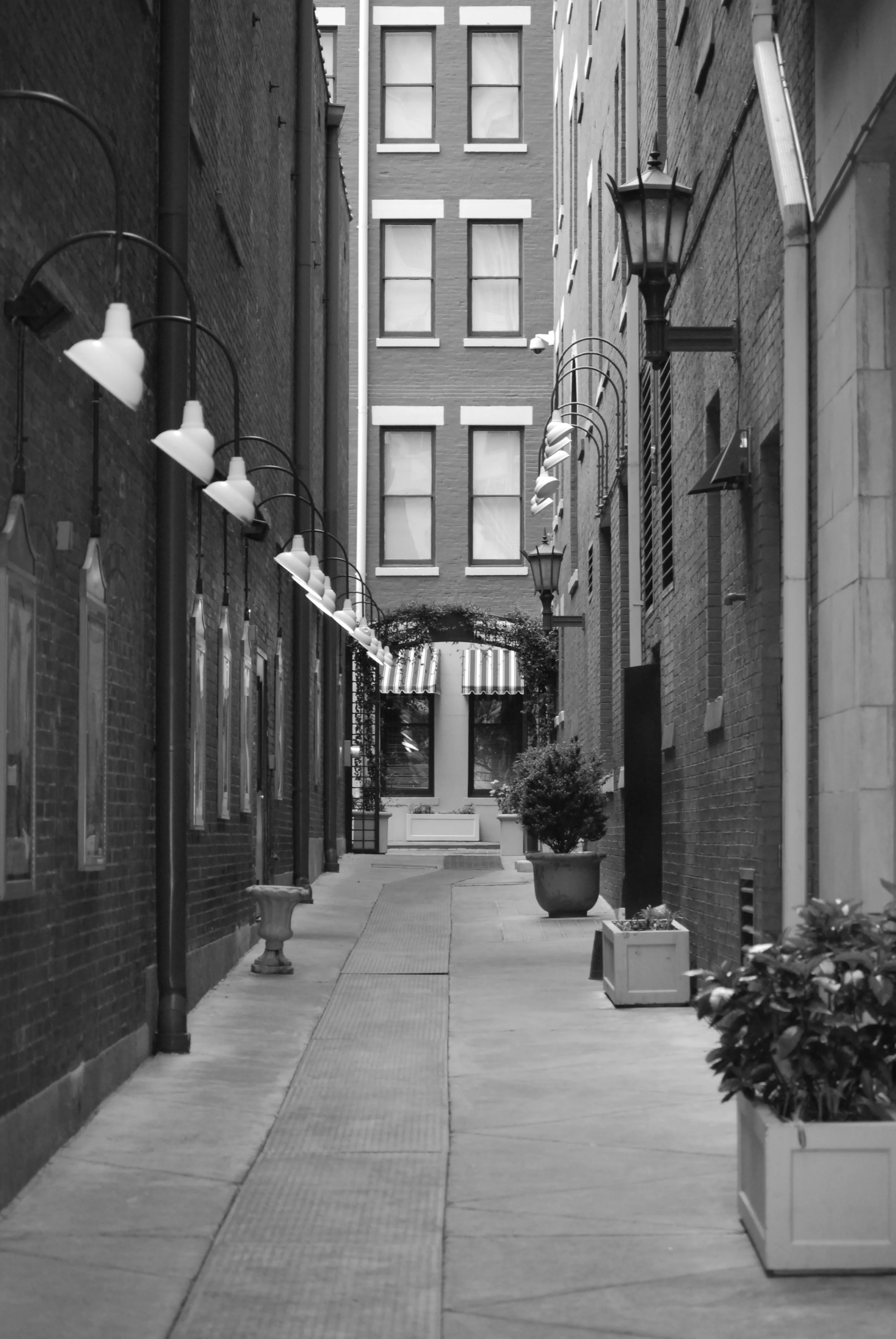 Memphis Buildings Vertical.jpg