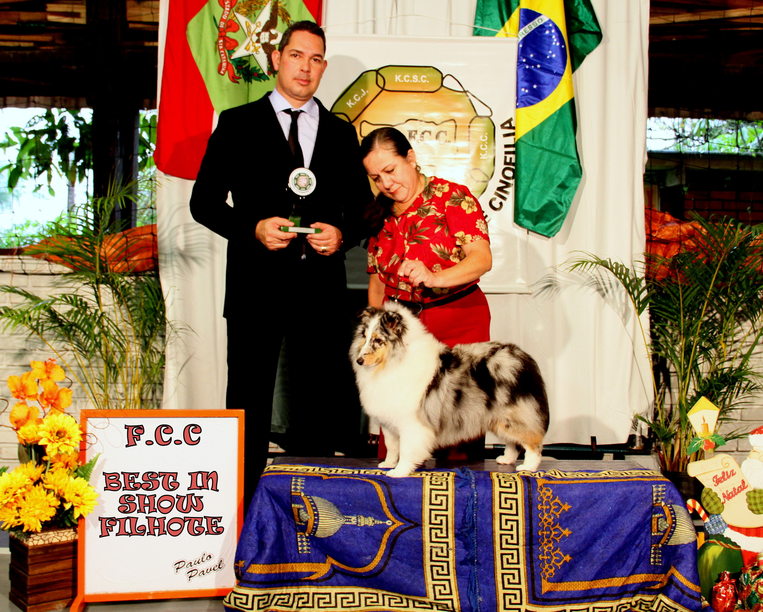 Apple Bis filhote.JPG