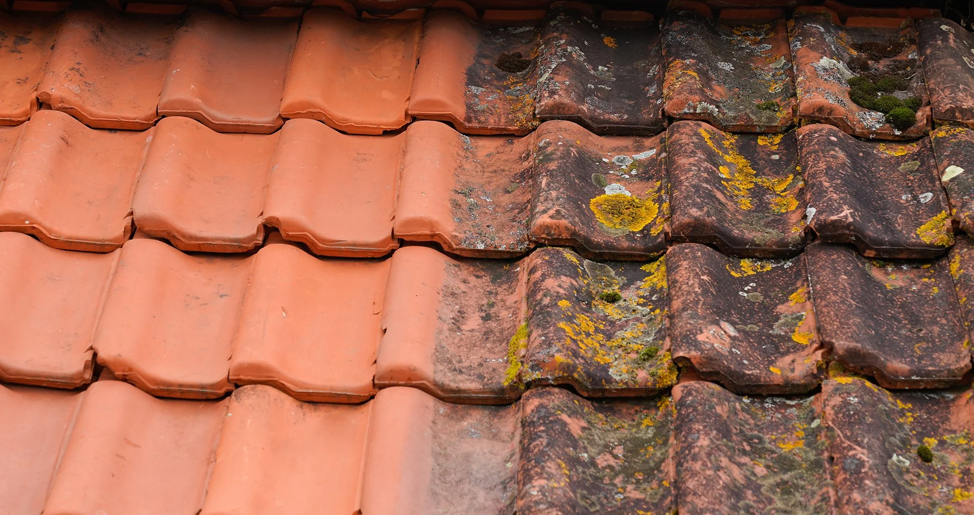 Before-and-after marketing is effective in demonstrating the benefits of roof tile soft washing.