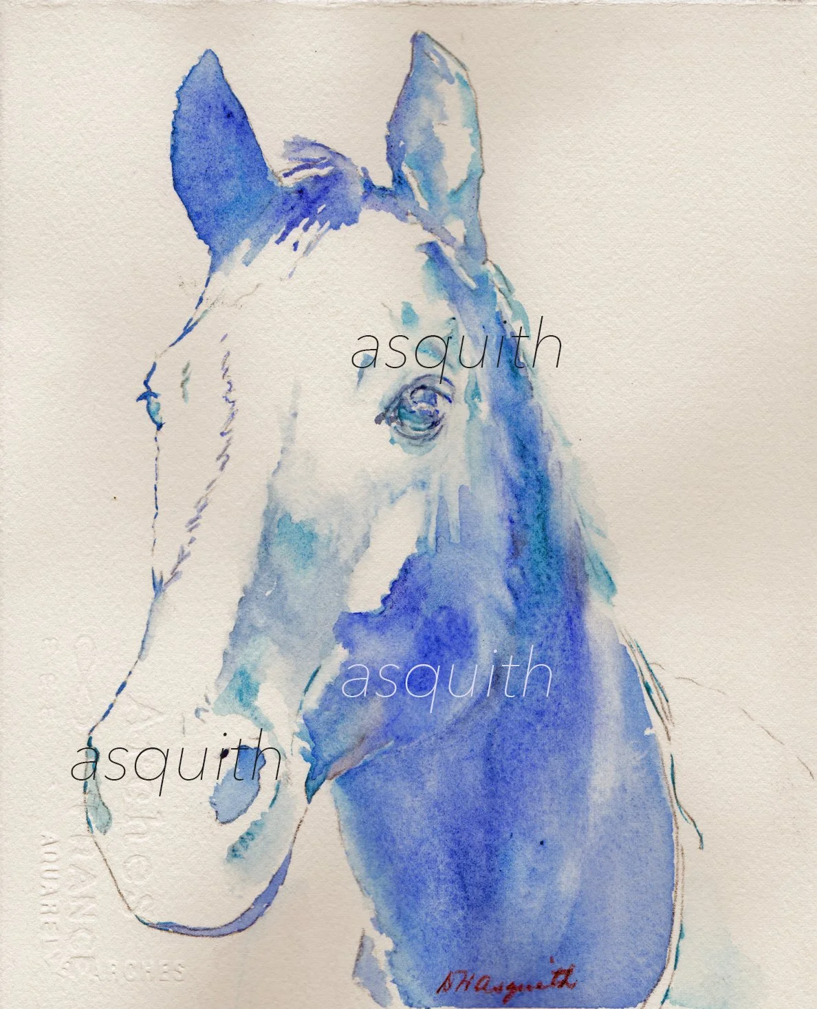EQUINE ARISTOCRAT - Original Watercolor 8 x 10" - Framed and For Sale at York Art Association, York, ME