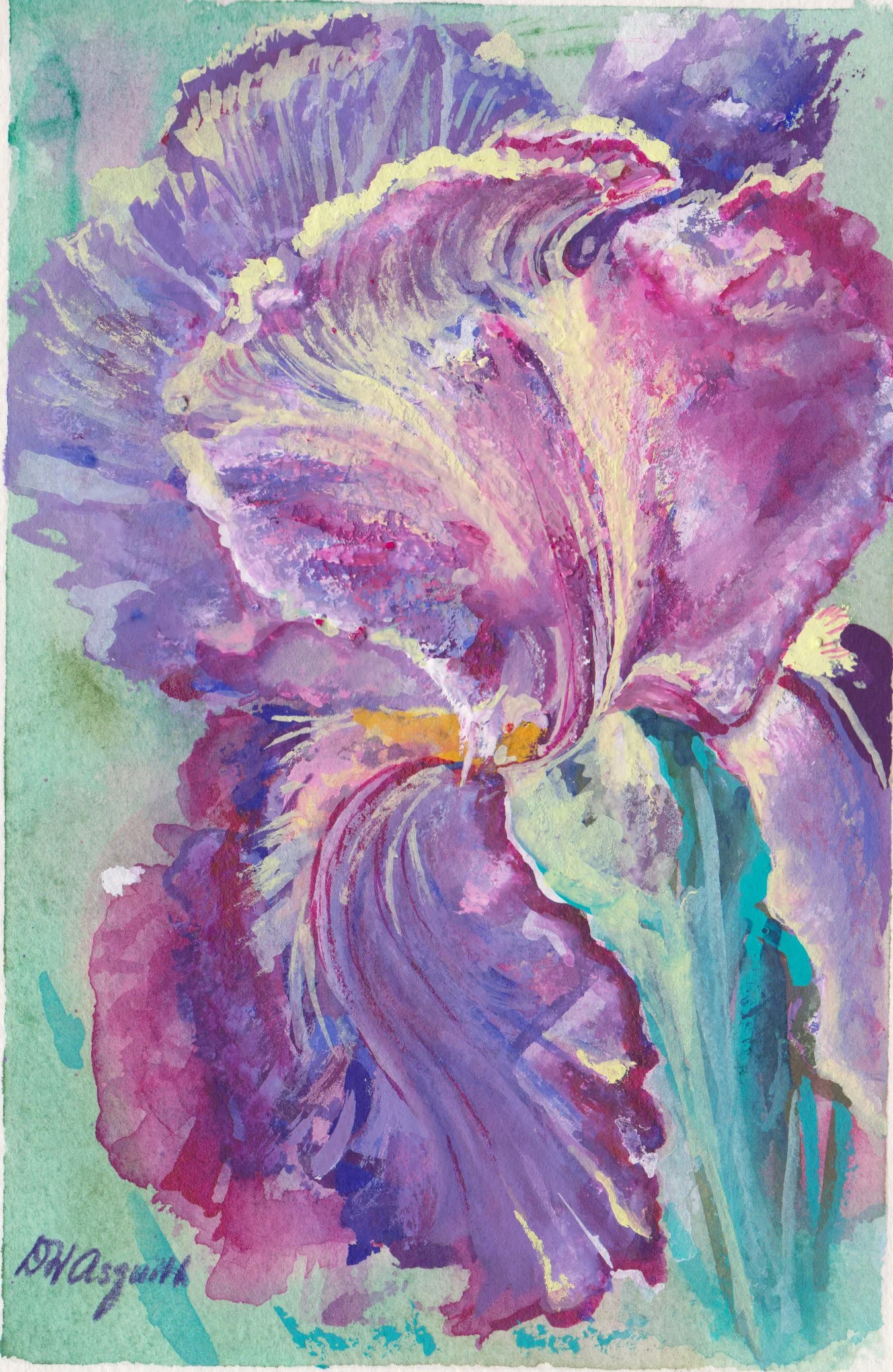 SOLD  -  IRIS  -  5 x 7 Watercolor both Transparent and Opaque - Prints available on Request