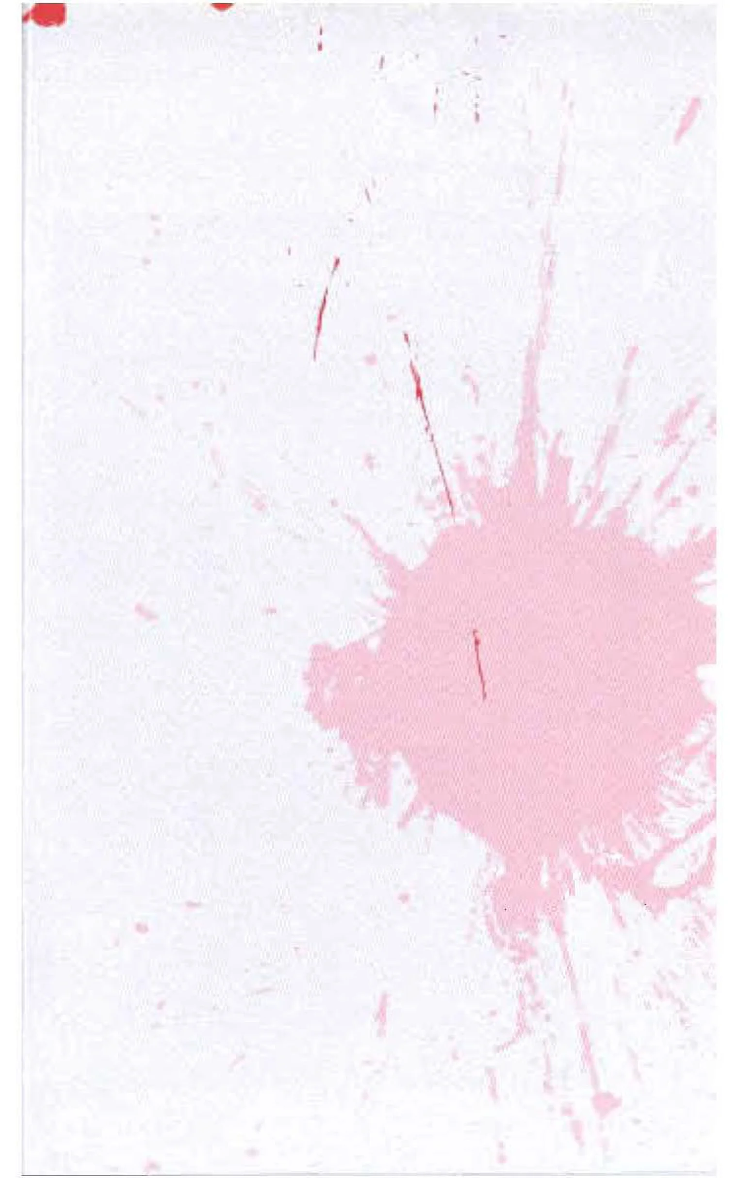 SignaturesBook2010-32.jpg