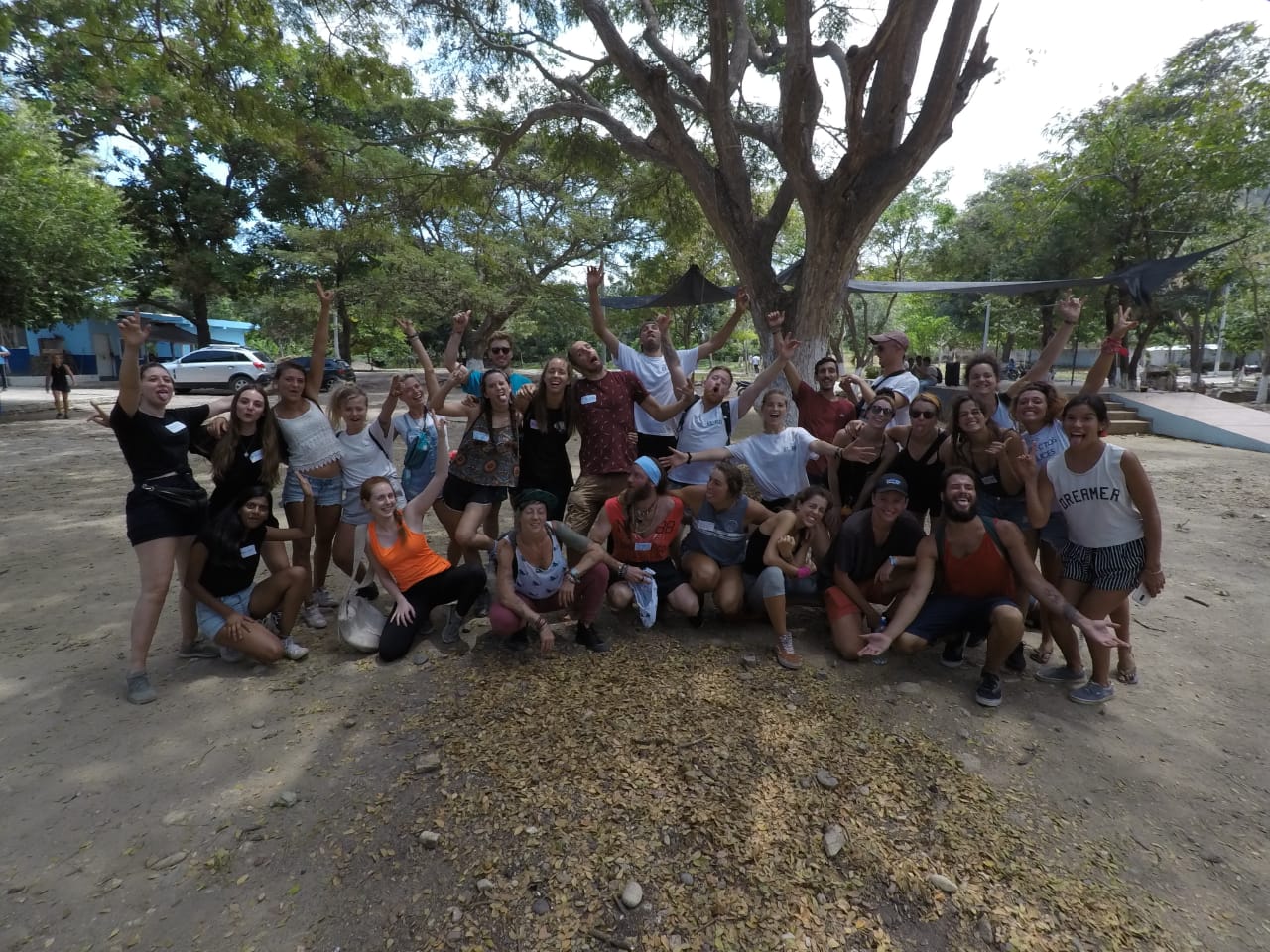 Group Vols.jpeg