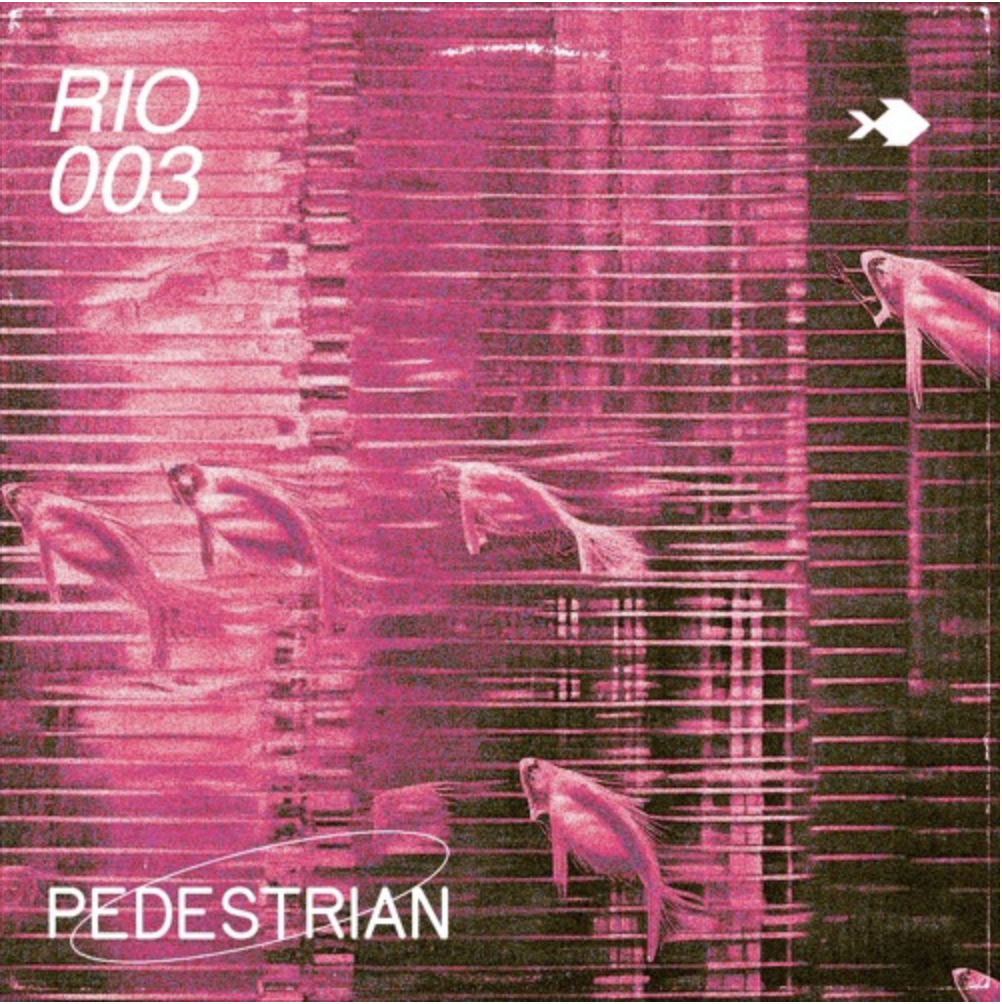 Rio 003 - Pedestrian