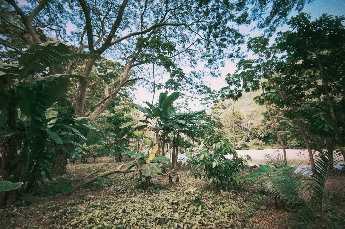 Having wanted to expand our offering of rest, relaxation and soothing sounds for quite some time, this year we have struck a bargain with a friendly neighbour to present a new space&hellip; Enter, La Platanera. 🍌

Cross the river between 10am-10pm e