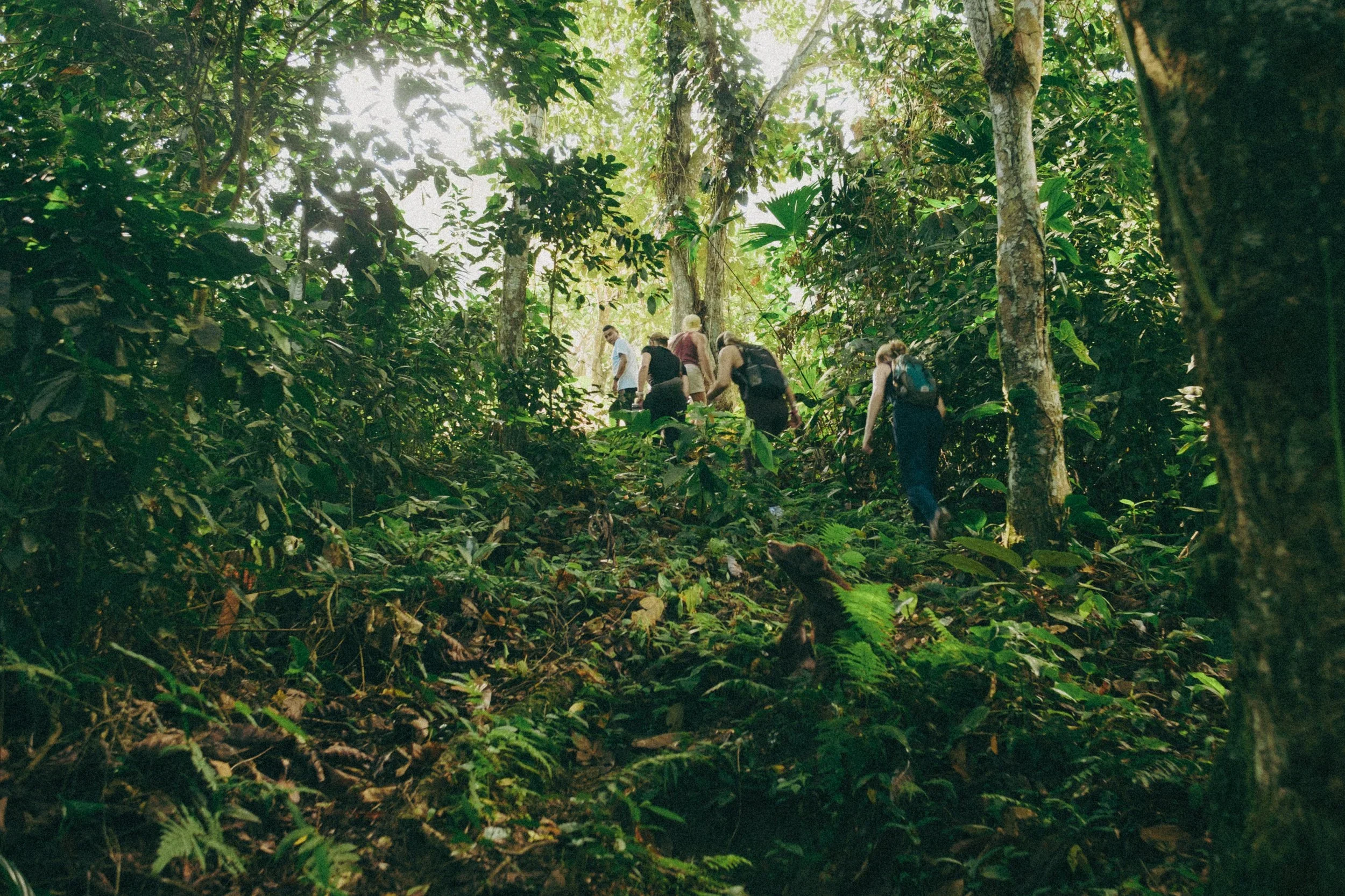 Quebrada del Plátano (Hike)