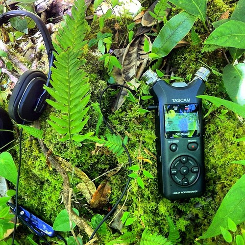 Tascam.jpeg