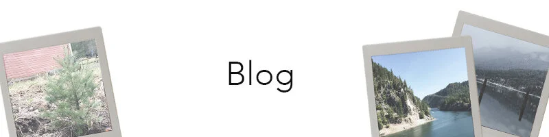 Blog Banner.jpg