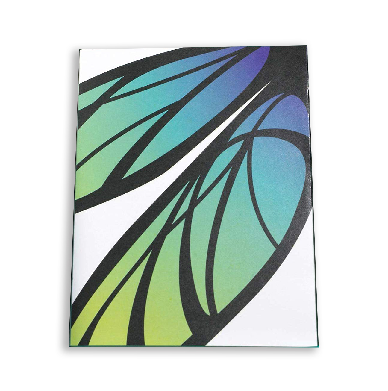 MoMa dragonfly cover2.jpg