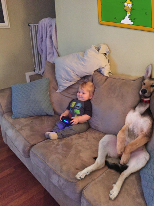 tastefullyoffensive photo.jpg
