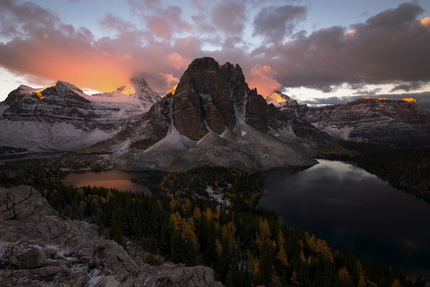 _DSC1636-edit1-copy4.jpg