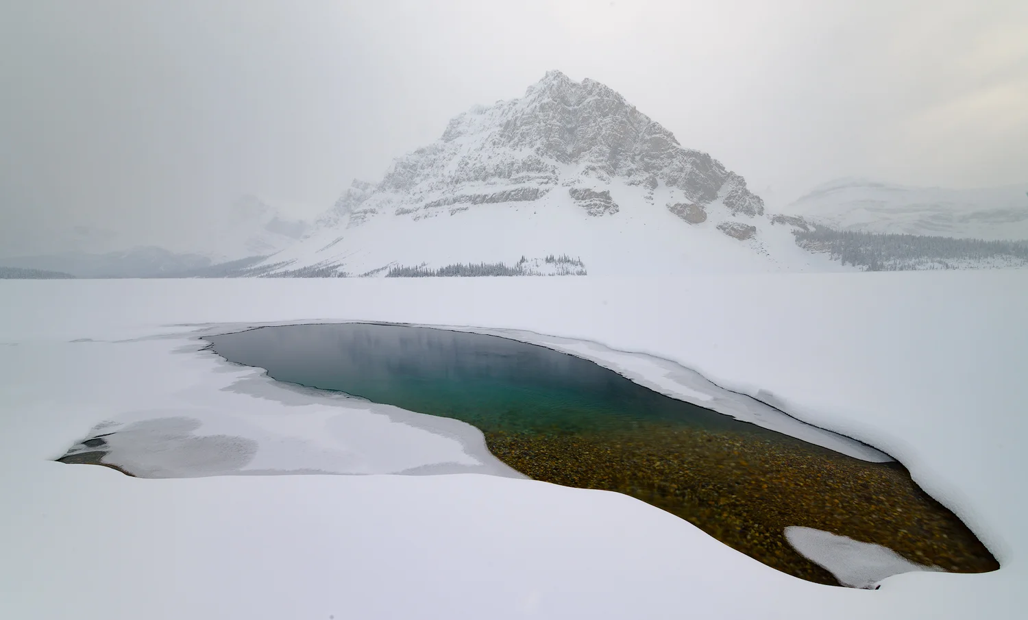 _DSC4219-bowPOND1-copy3.jpg