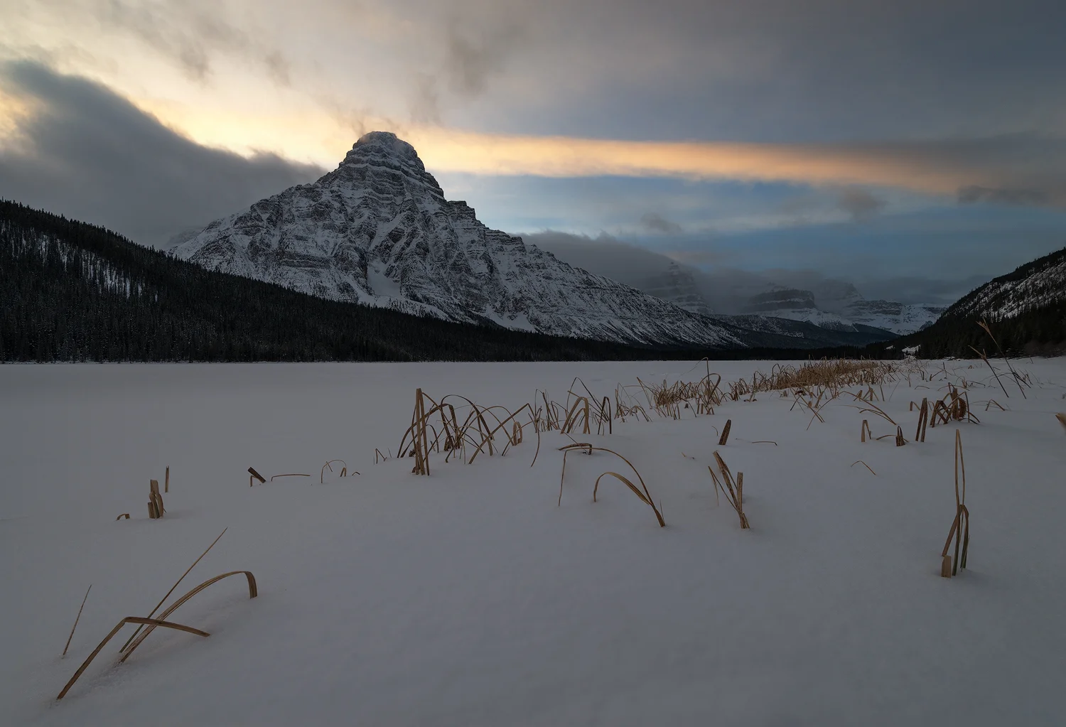 chephren-grass3.jpg