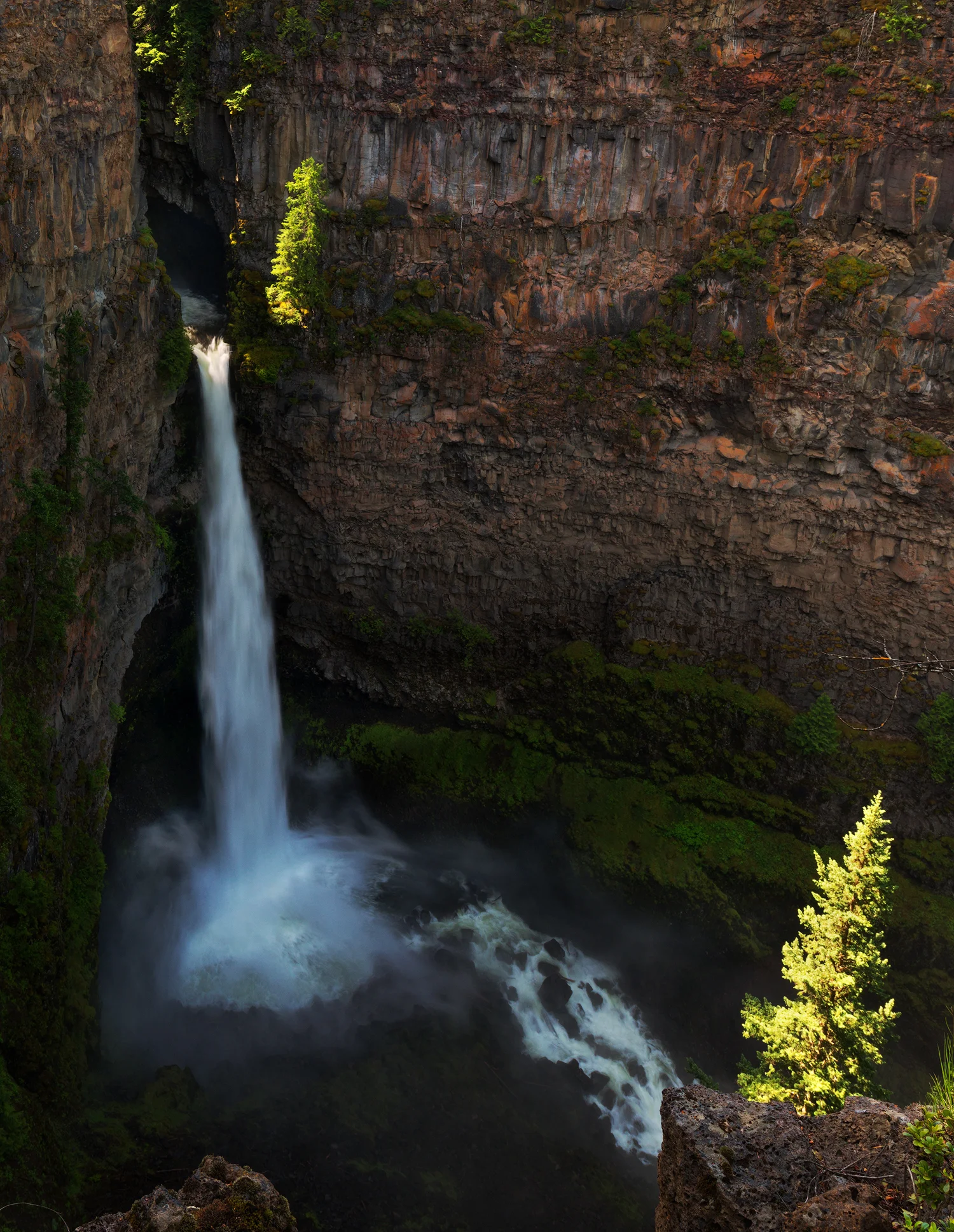 _DSC0707-edit1-copy1.jpg