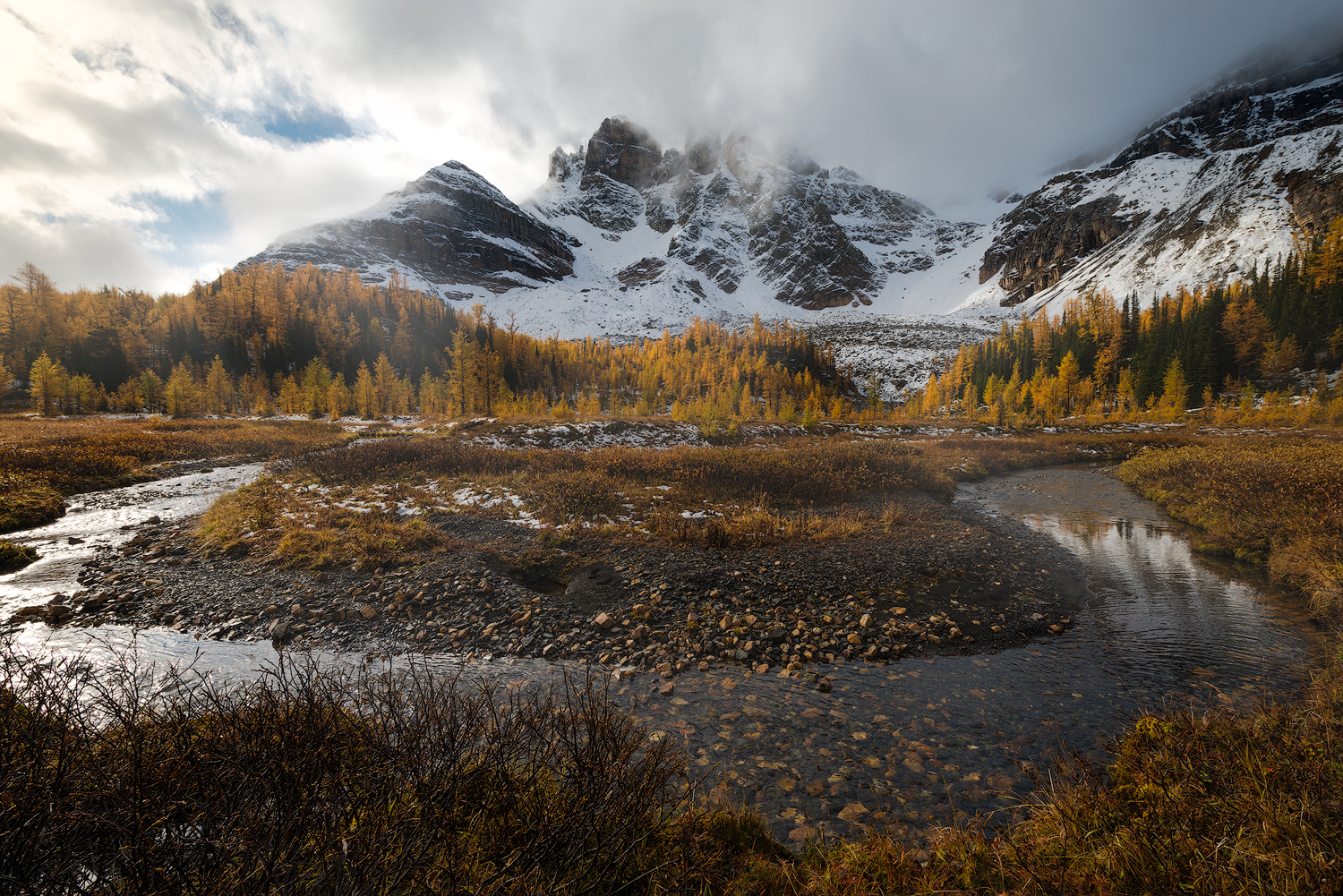 _DSC3587-edit1-copy.jpg