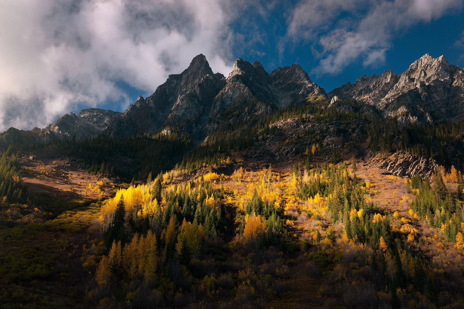 _DSC3159-edit1-copy3.jpg