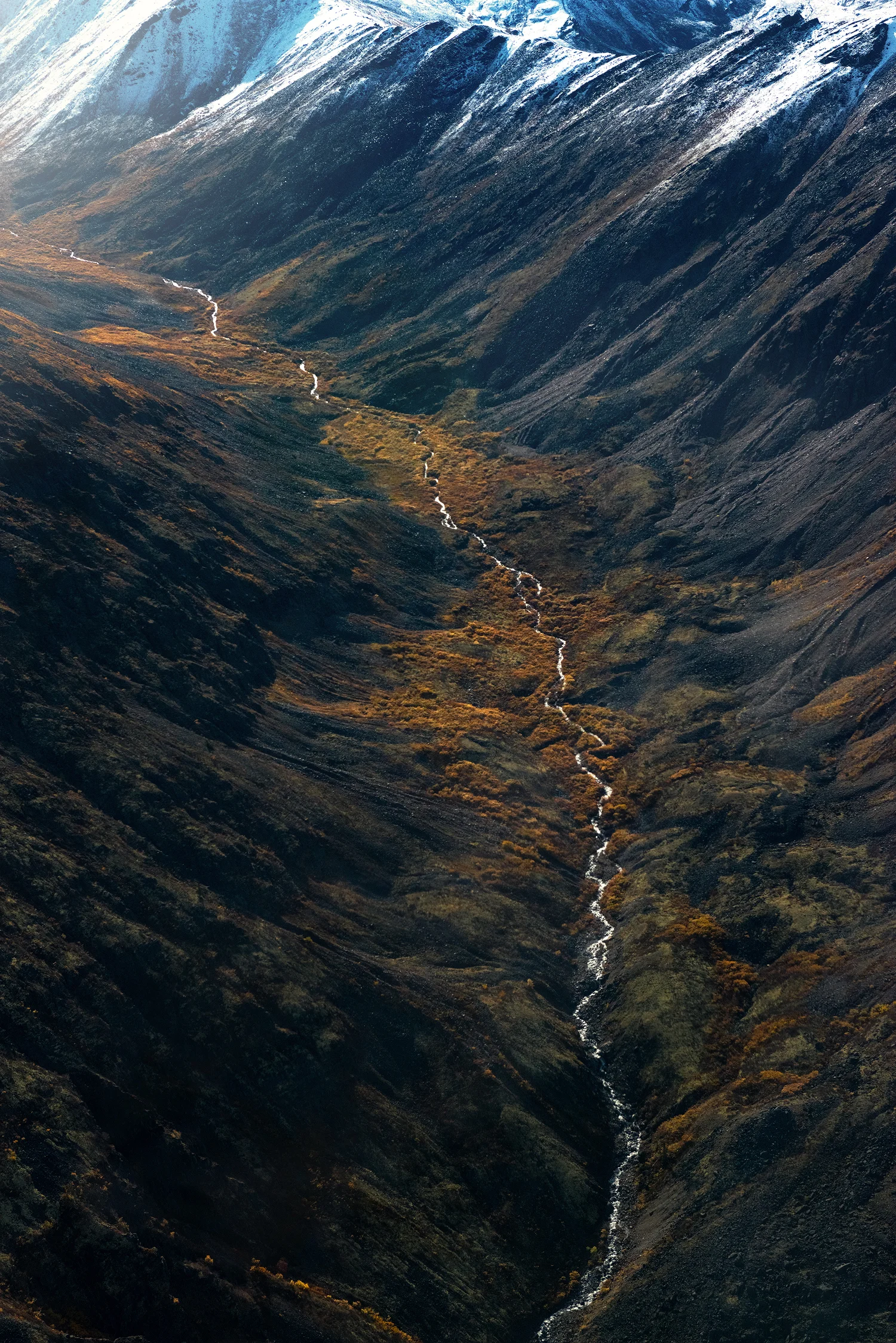 _DSC1058-edit1-copy1.jpg