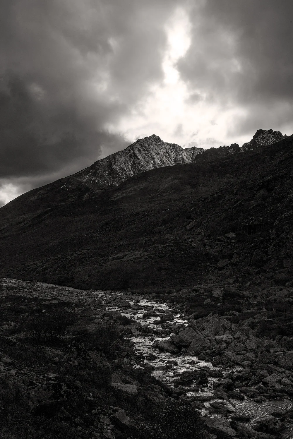 _DSC0307-Edit-copy1.jpg