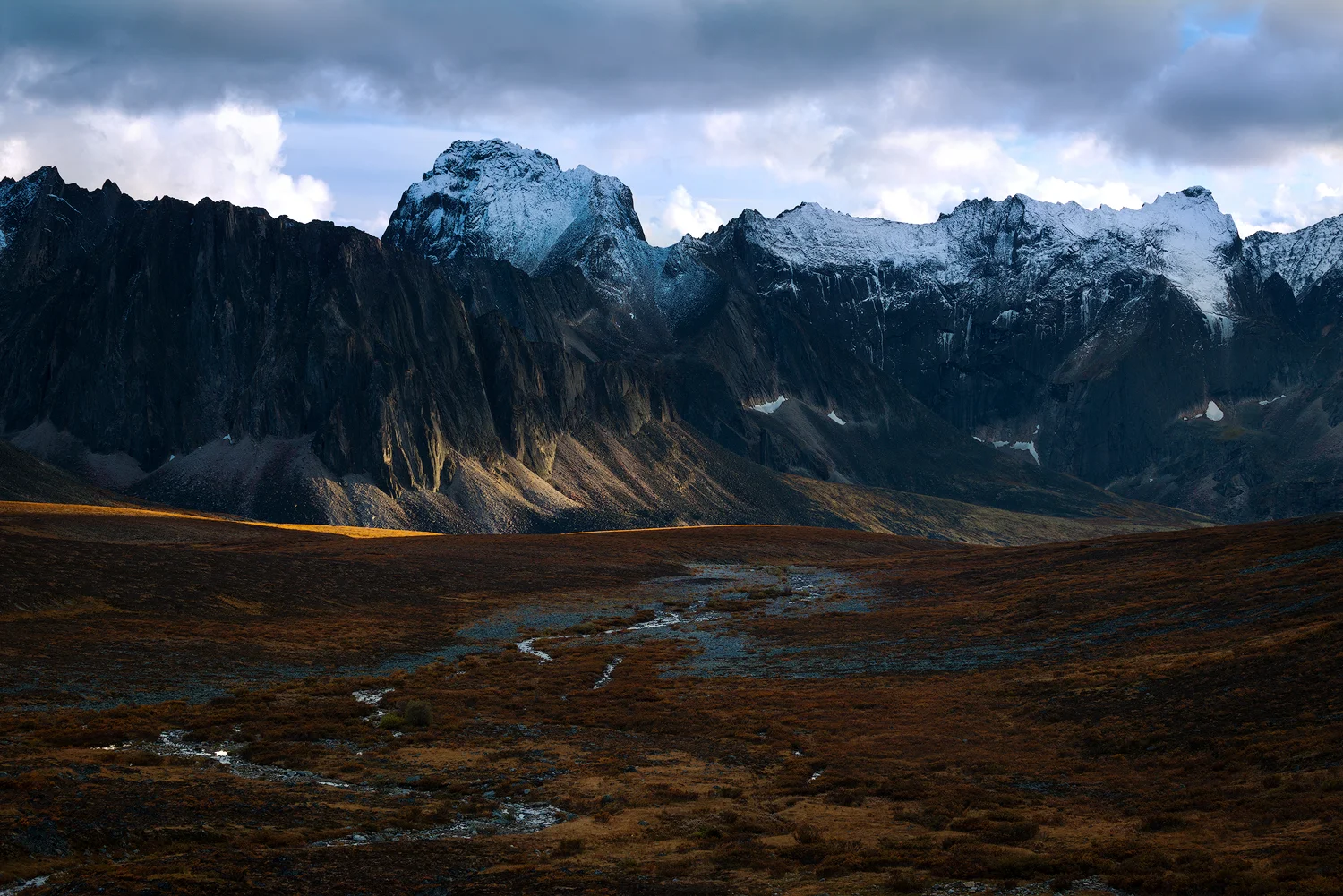 _DSC0350-copy3.jpg
