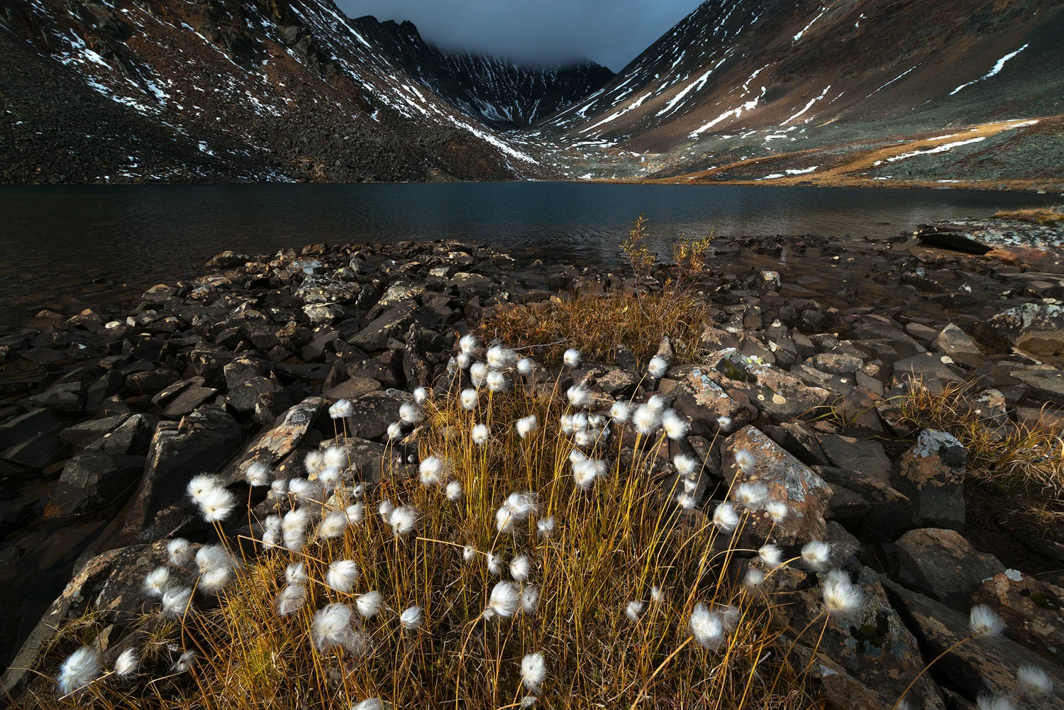 _DSC0487-edit1-copy3.jpg
