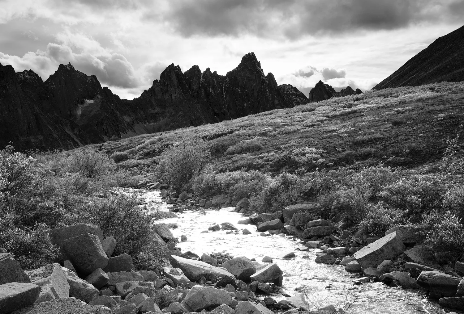 _DSC0840-copy1.jpg