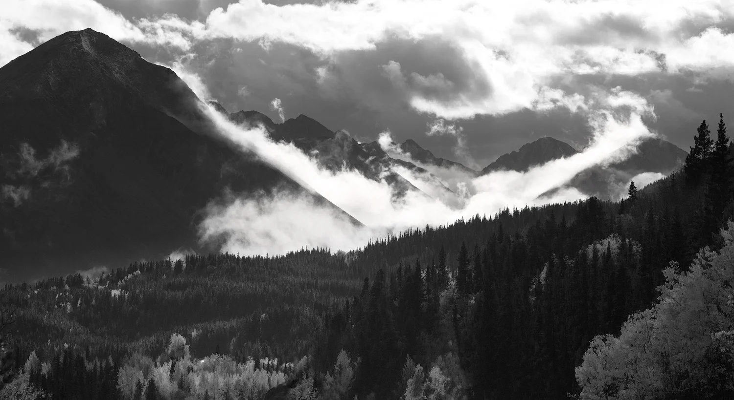 _DSC1355-edit1-copy1.jpg