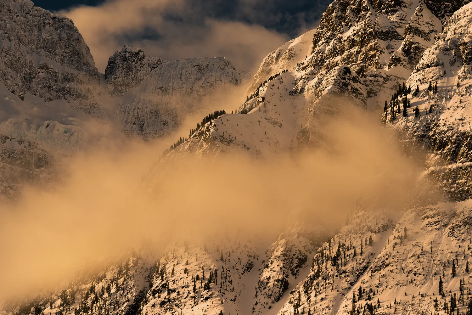 _DSC6029-edit1-copy3.jpg