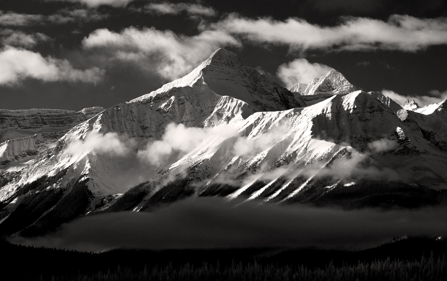 _DSC6034-edit1-copy2.jpg