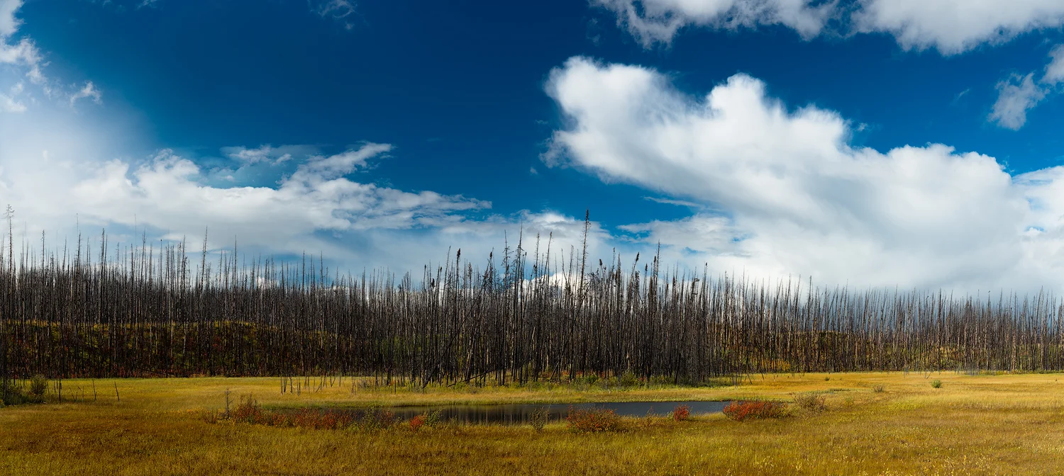 _DSC7568-Pano2-copy1.jpg