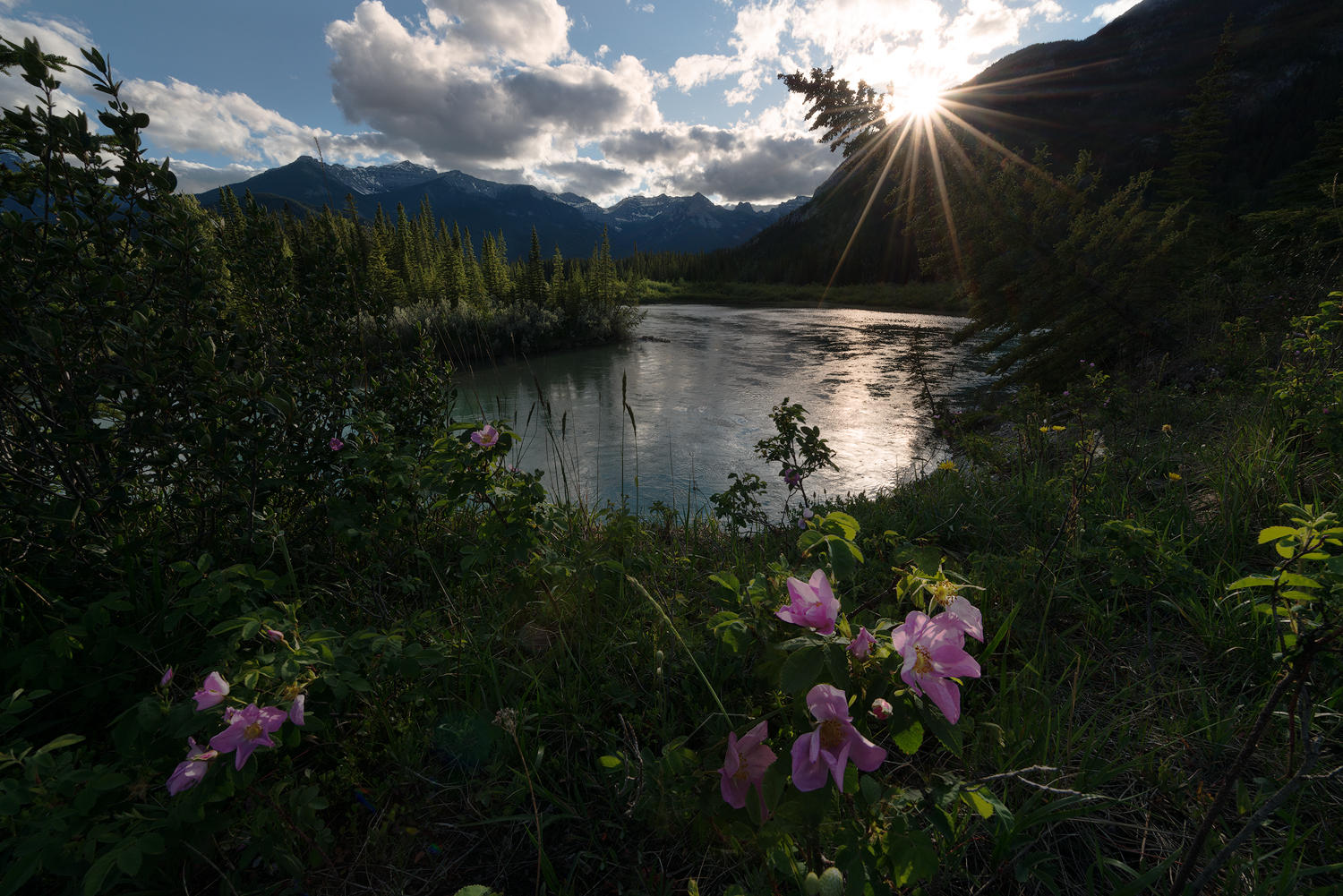 _DSC2553-edit1-copy1.jpg