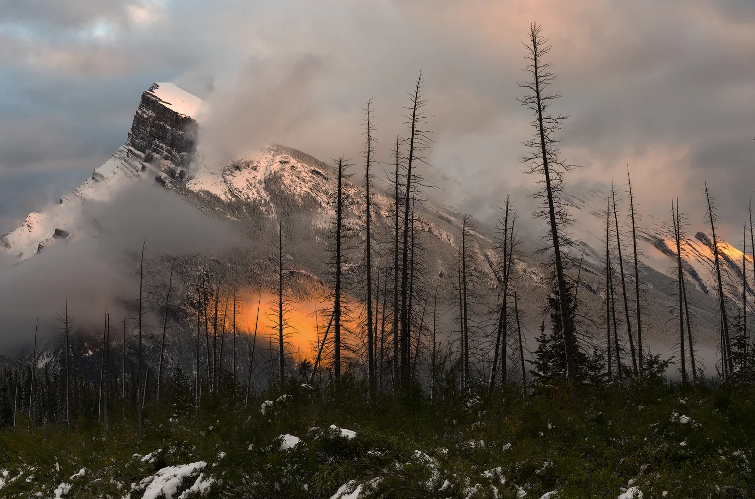 _DSC5917-edit1-copy3.jpg
