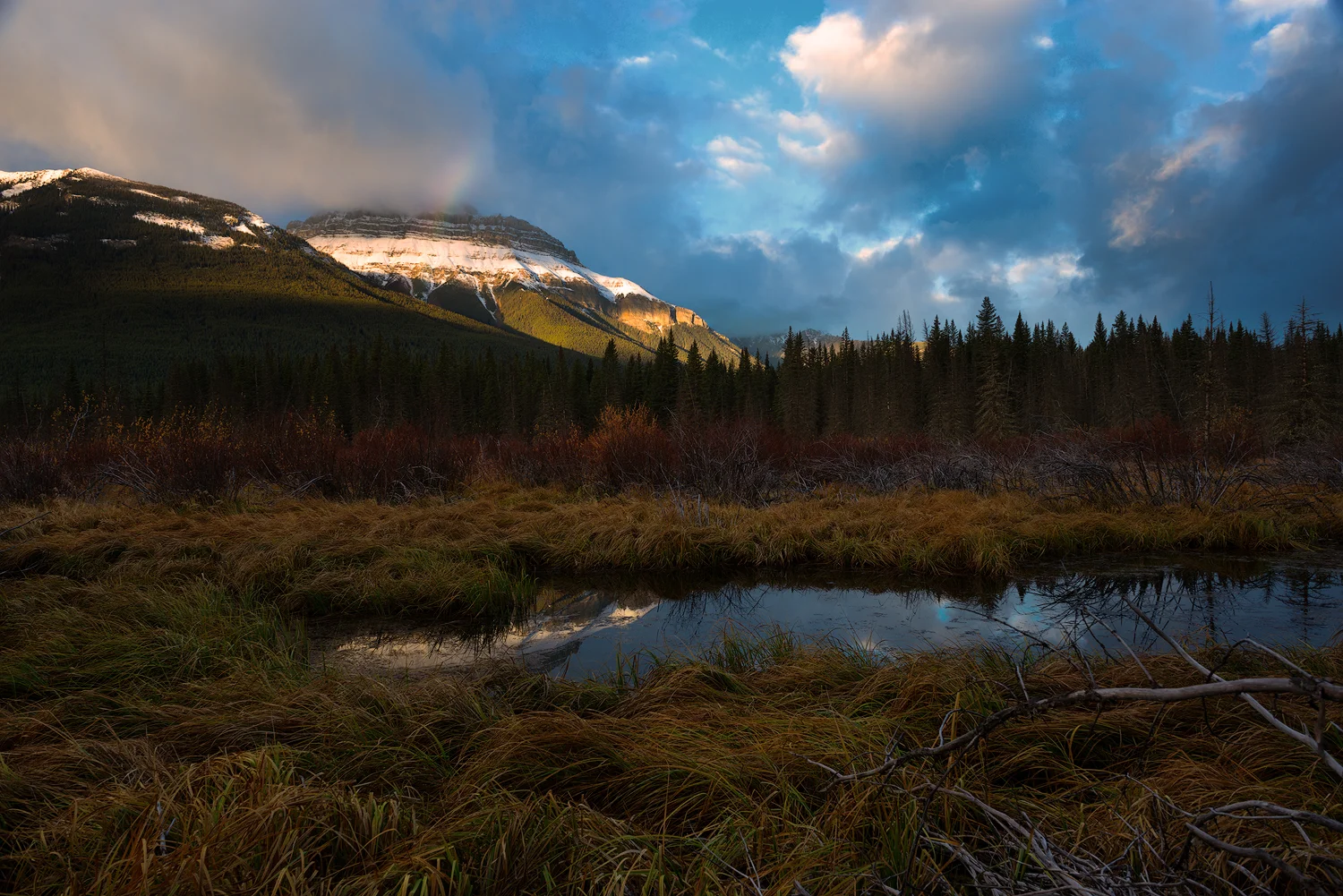 _DSC9183-edit1-copy1.jpg