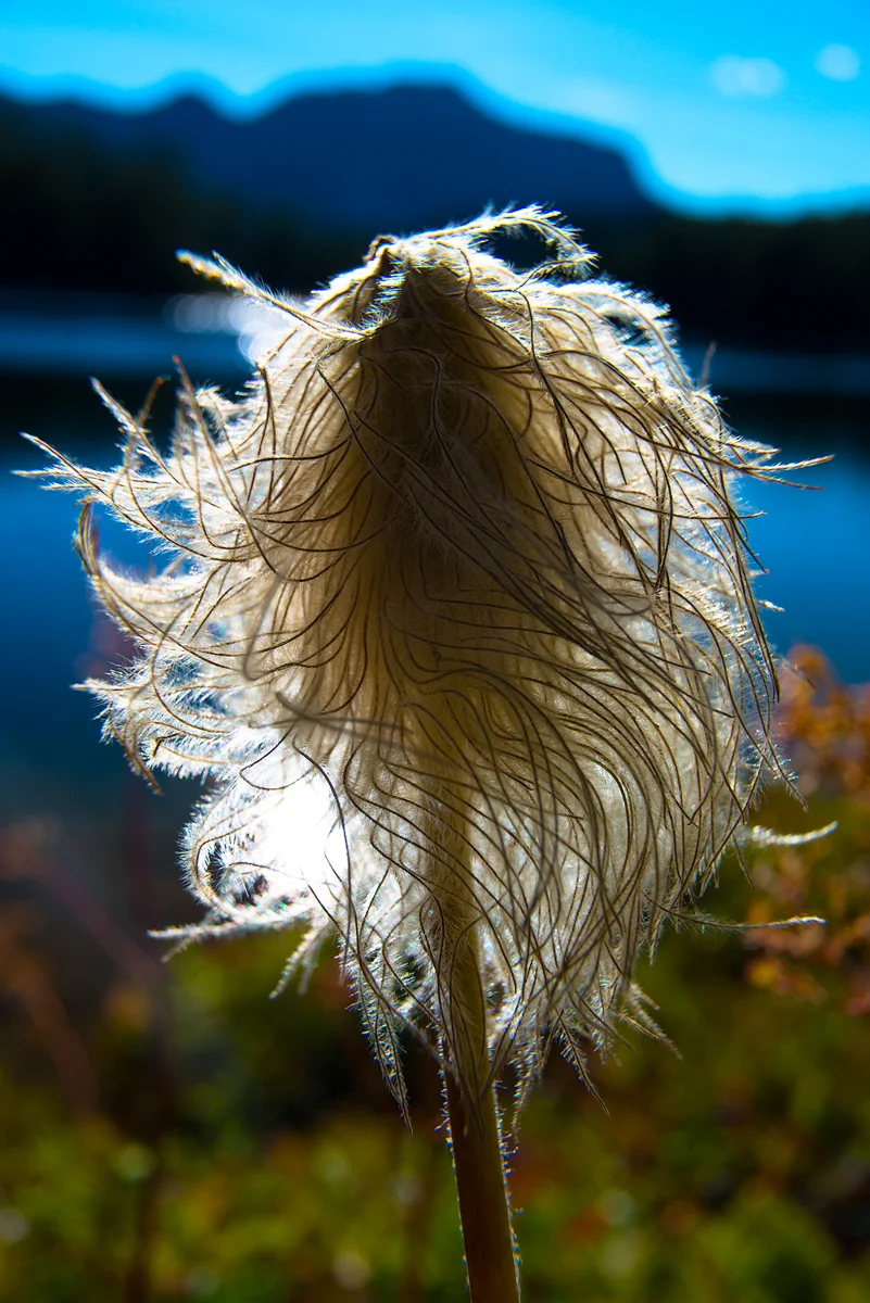 _DSC6661-edit1-copy-L.jpg