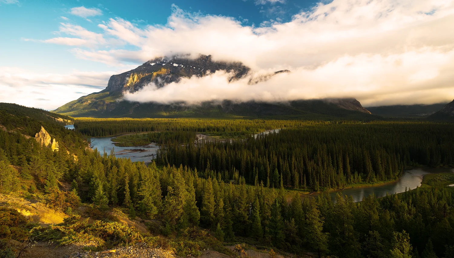 _DSC2075-edit1-copy1.jpg