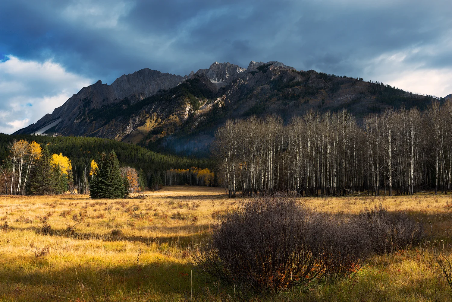 _DSC8258-edit1-copy1.jpg