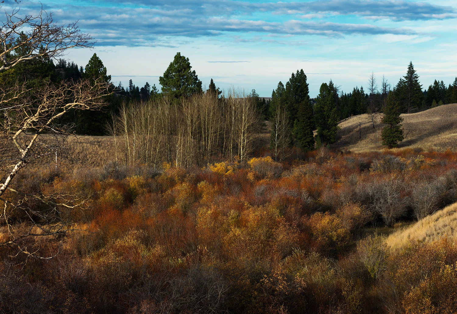 _DSC8956-edit1-copy3.jpg