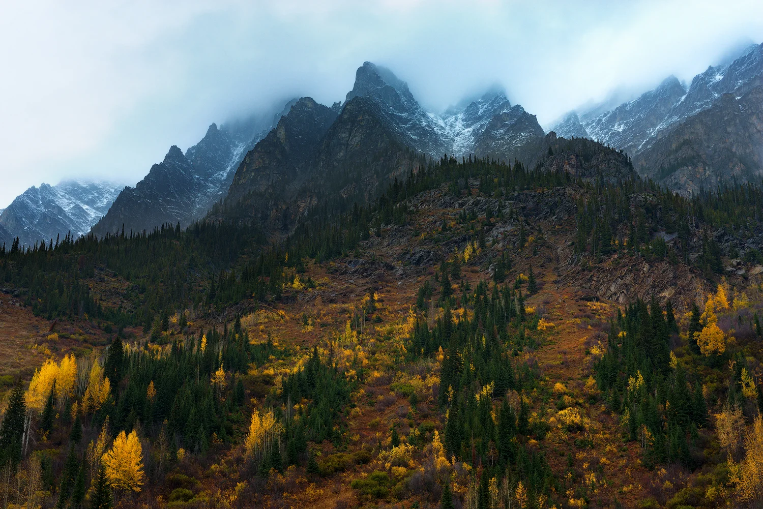 _DSC9108-edit1-copy2.jpg