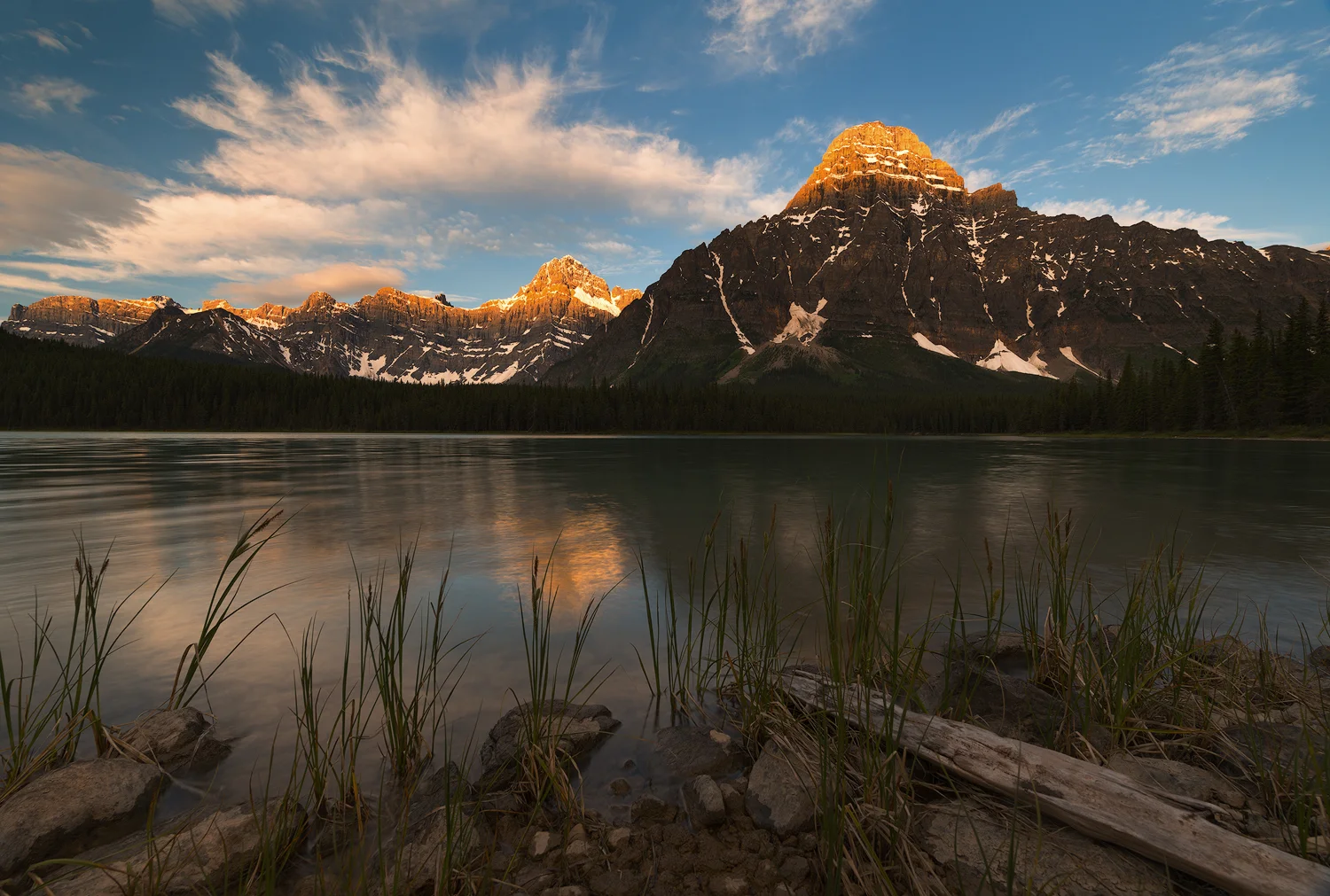 _DSC2966-edit1-copy2.jpg