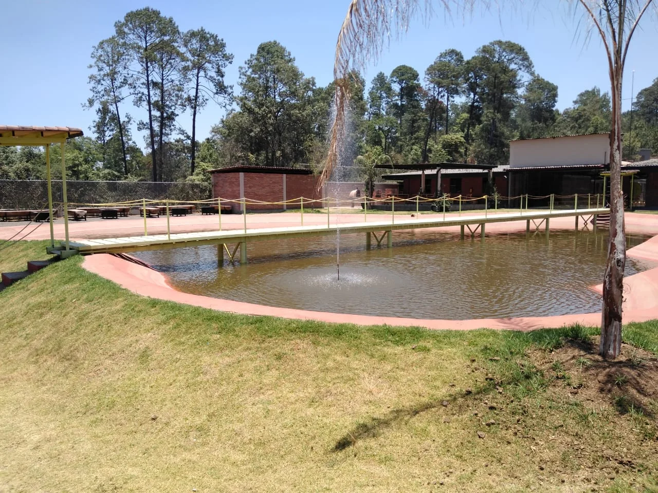 WhatsApp Image 2019-05-10 at 11.29.02 AM.jpeg